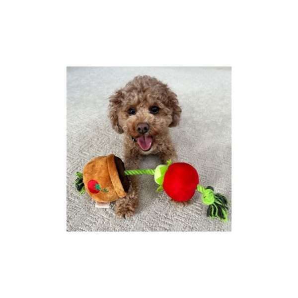 Territory Dog Treat Tug Tomato 15 Inch Fashion