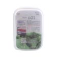 Shallow Plastic Food Container (Large) Online now