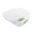 Shallow Plastic Food Container (Large) Online now