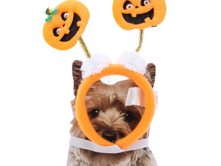 Party Gear Pet Pumpkin Bopper Headband, tie on card Online Hot Sale