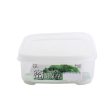 Shallow Plastic Food Container (Large) Online now