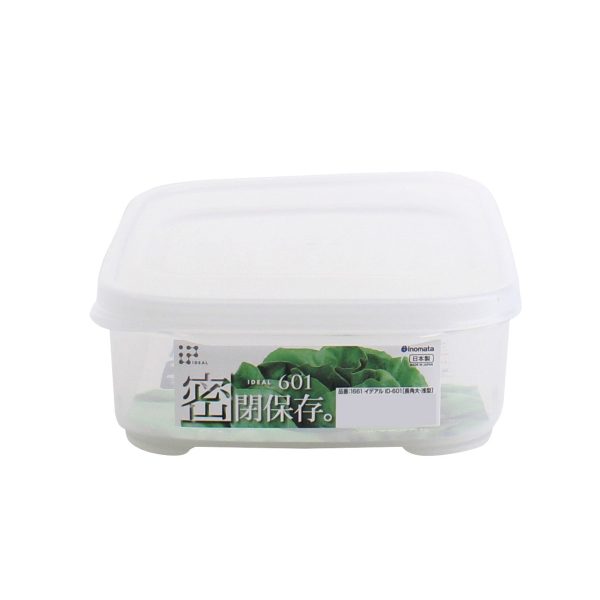 Shallow Plastic Food Container (Large) Online now