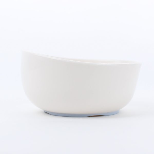 Microwave Safe Non-Slip Bowl on Sale