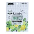 BCL Saborino 3-in-1 Alcohol & Oil-Free Sheet Masks For Morning Online Sale