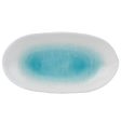 Blue   White Porcelain Long Bowl Discount