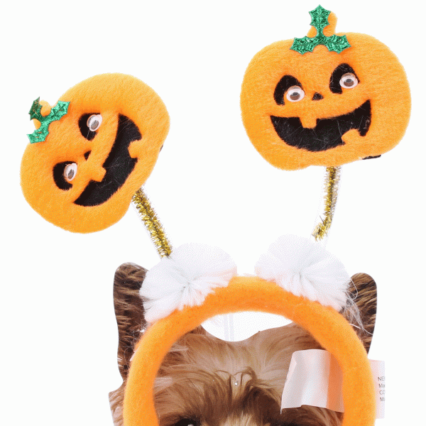 Party Gear Pet Pumpkin Bopper Headband, tie on card Online Hot Sale