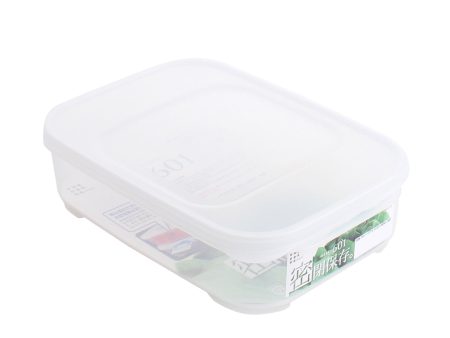 Shallow Plastic Food Container (Large) Online now