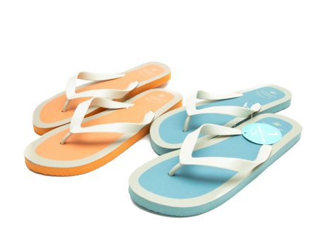 Coloured Frame Flip Flops Supply